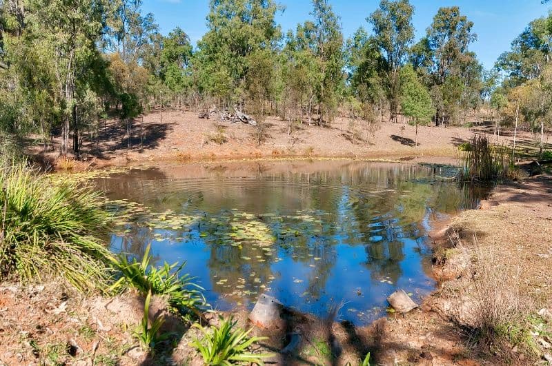 66 Paynes Road, EBENEZER QLD 4340, Ebenezer - Thumbnail 2