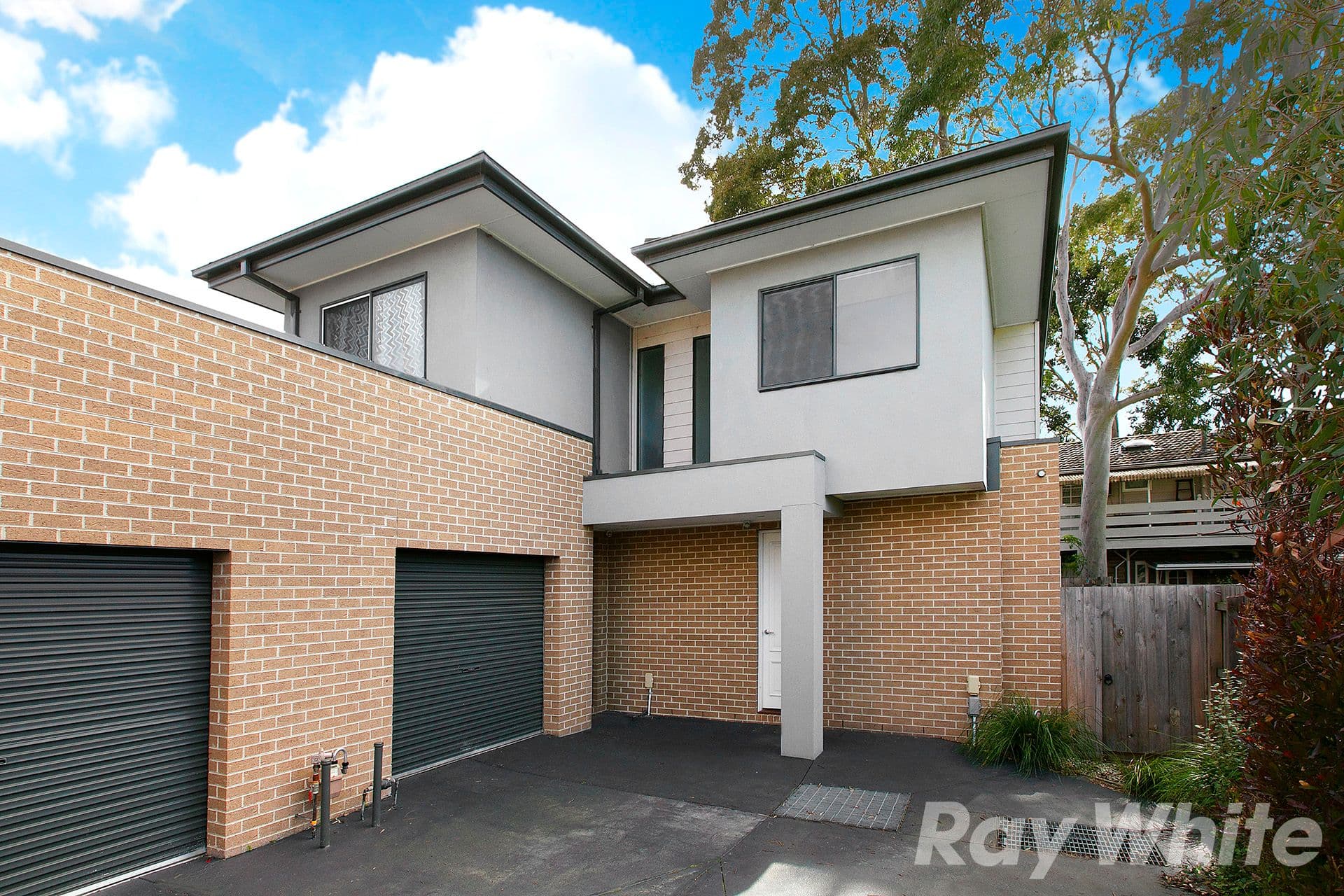 5 Jellicoe Street, Cheltenham VIC 3192, Cheltenham - Thumbnail 2