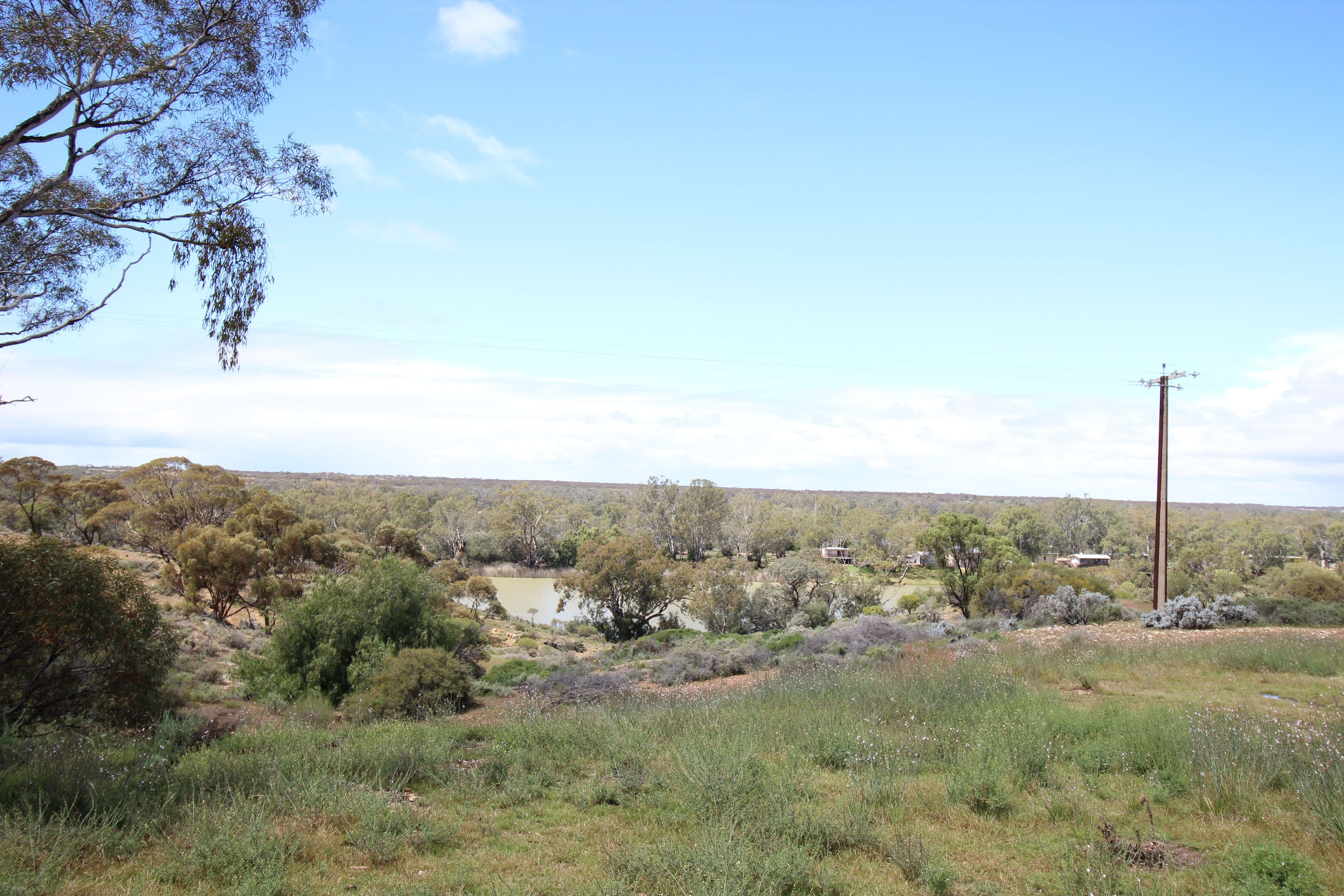 6 Sapphire Street, Morgan SA 5320, Morgan - Thumbnail 3