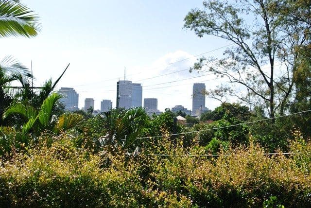 29 Hilton Street, EAST BRISBANE QLD 4169, East Brisbane - Thumbnail 4