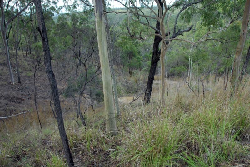 147 Haddock Drive, BURUA QLD 4680, Burua - Thumbnail 5