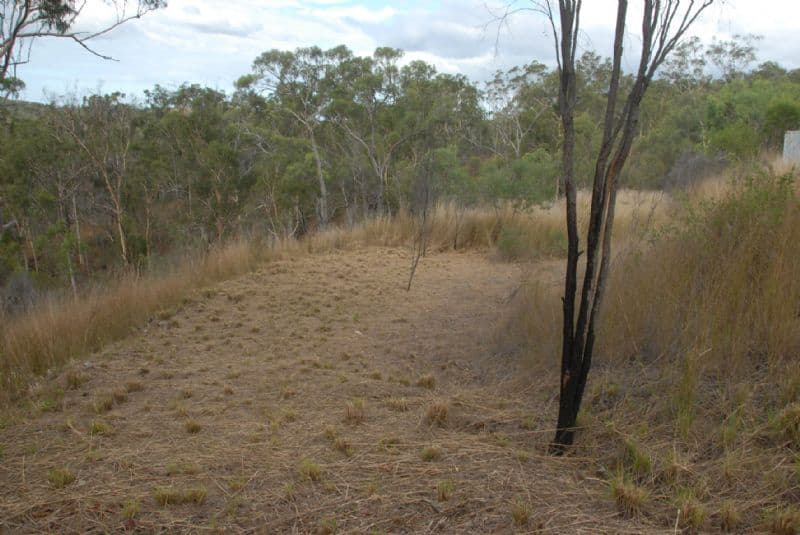147 Haddock Drive, BURUA QLD 4680, Burua - Thumbnail 7
