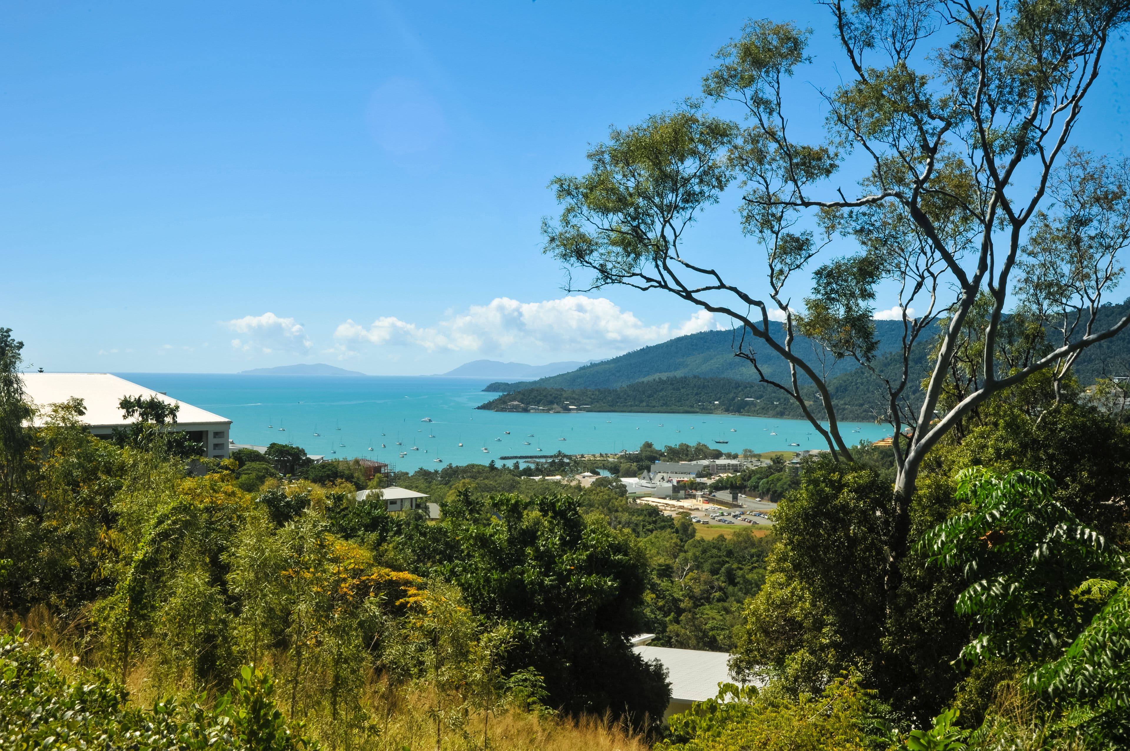 23 Cumberland Court, Airlie Beach QLD 4802, Airlie Beach - Thumbnail 4