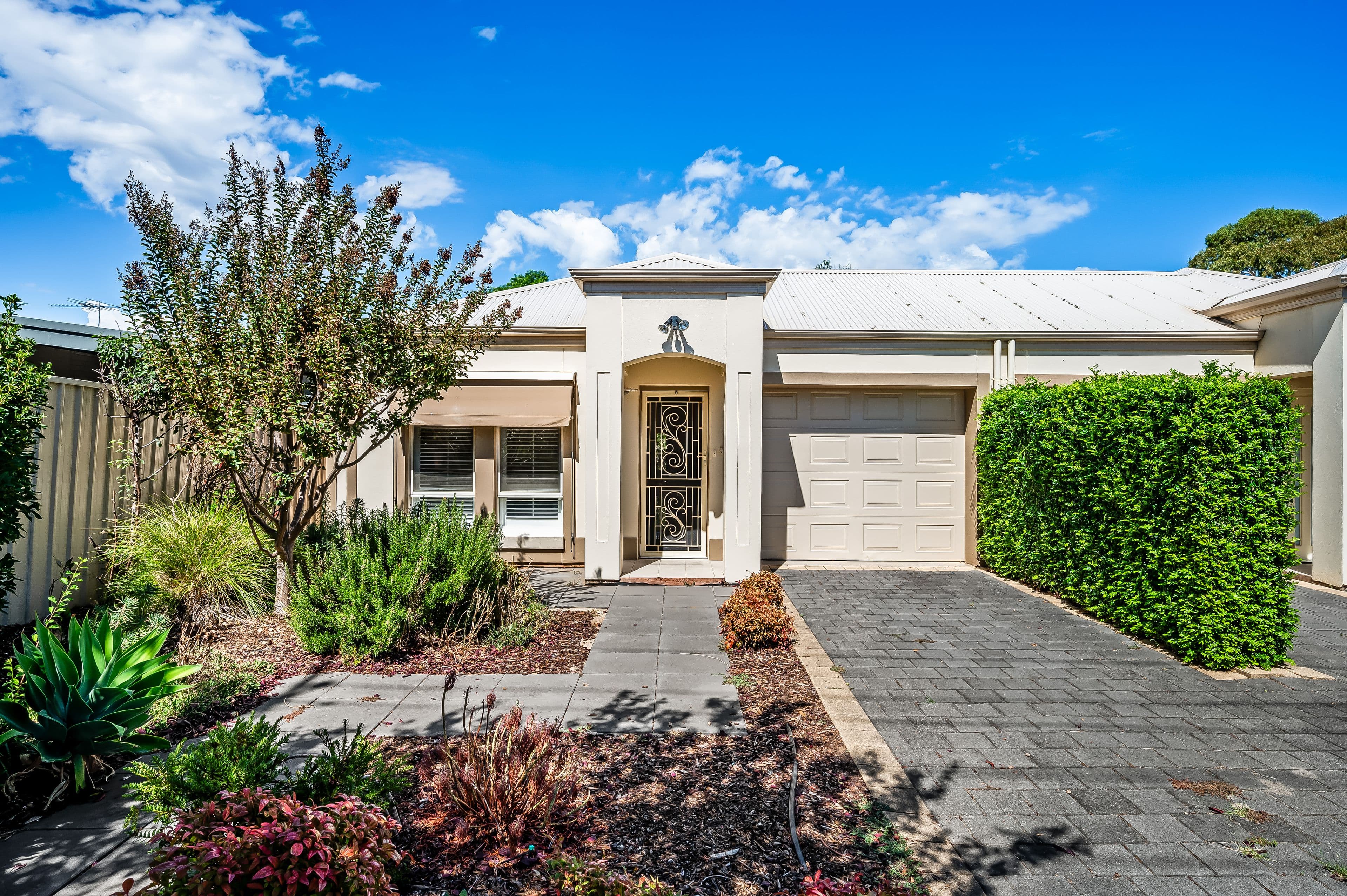 8A Ewell Avenue, Warradale SA 5046, Warradale - Image 1