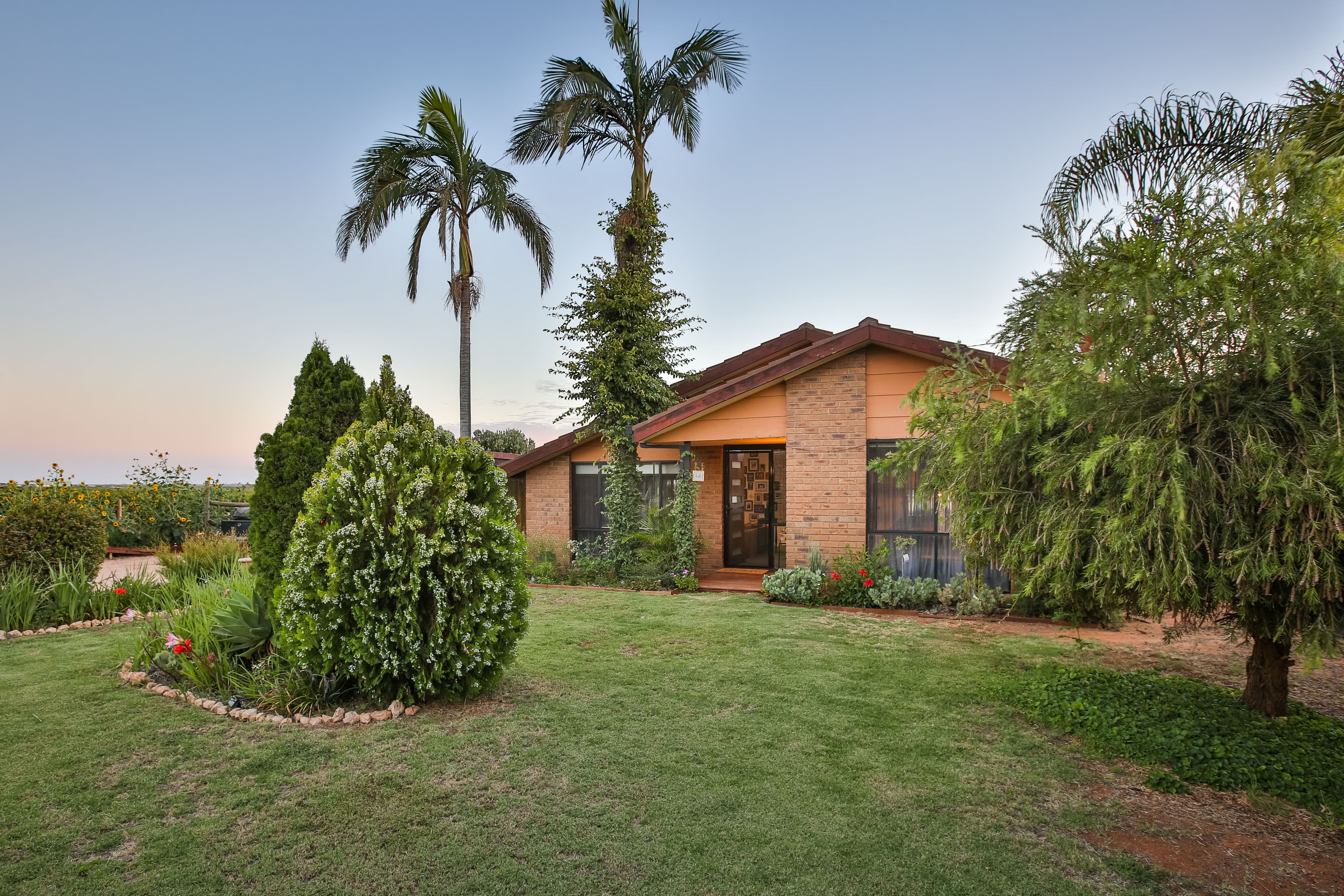 14 Bombala Road, COOMEALLA NSW 2717, Coomealla - Thumbnail 3