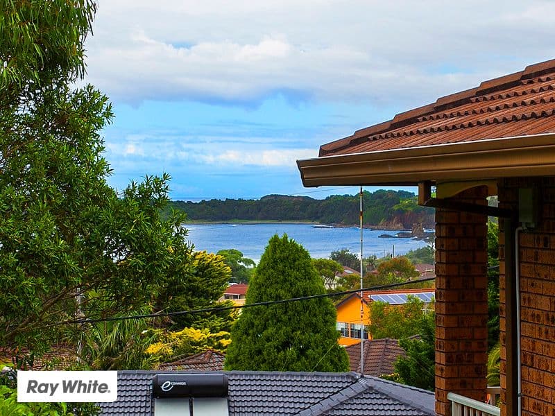 7 Carberry Avenue, KIAMA DOWNS NSW 2533, Kiama Downs - Thumbnail 4