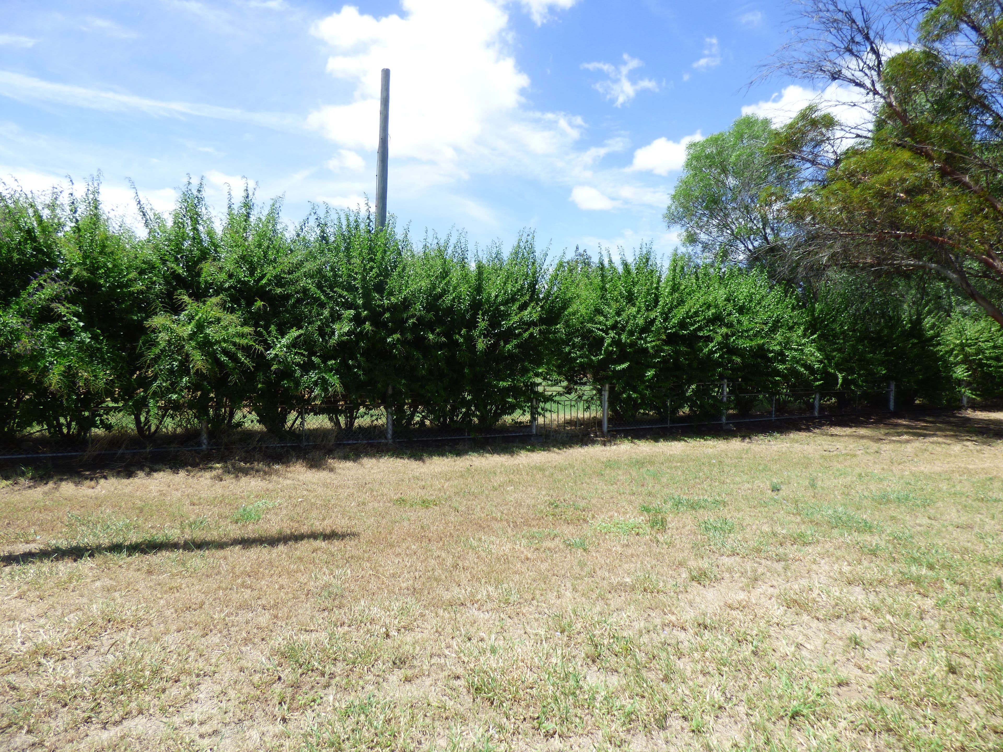 27-29 Lovell Street, Roma QLD 4455, Roma - Thumbnail 3