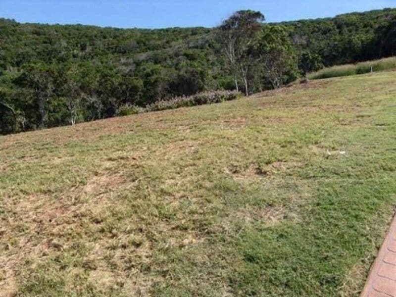 3 Gus Moore Street, Yeppoon QLD 4703, Yeppoon - Thumbnail 3