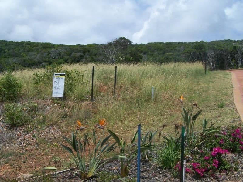 3 Gus Moore Street, Yeppoon QLD 4703, Yeppoon - Thumbnail 5