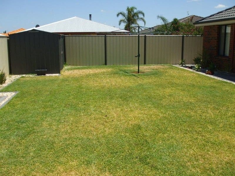 15  Swinden Court, MADDINGTON WA 6109, Maddington - Thumbnail 5