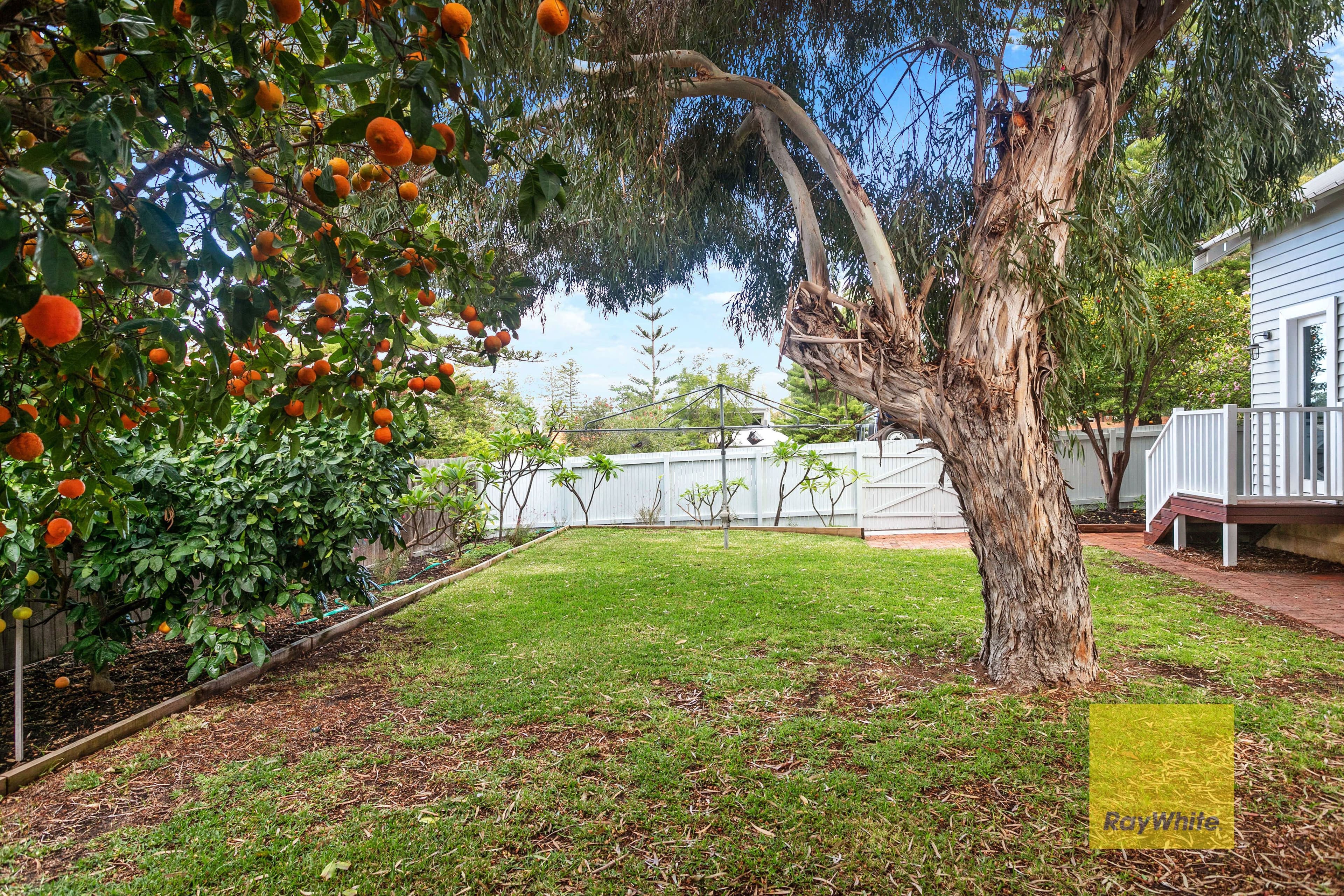 30 Salvado Street, Cottesloe WA 6011, Cottesloe - Thumbnail 3