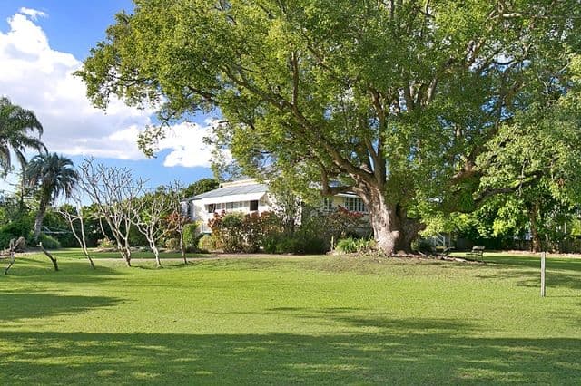 36 Feez Street, YERONGA QLD 4104, Yeronga - Thumbnail 4