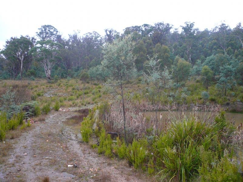 5  Keith Avenue, TRAVELLERS REST TAS 7250, Travellers Rest - Thumbnail 2