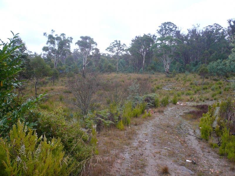 5  Keith Avenue, TRAVELLERS REST TAS 7250, Travellers Rest - Thumbnail 3