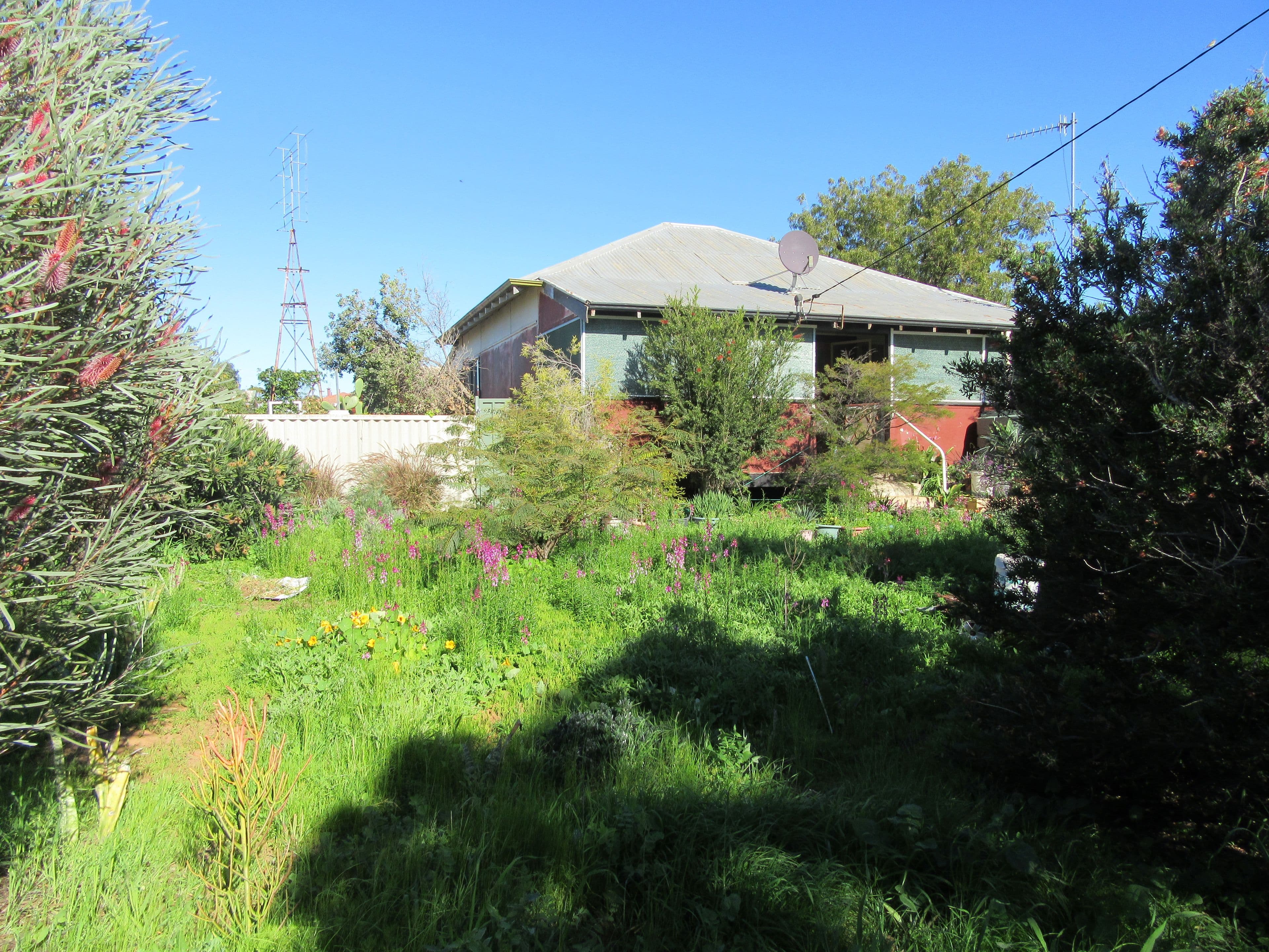 24 Railway Avenue, Carnamah WA 6517, Carnamah - Thumbnail 8