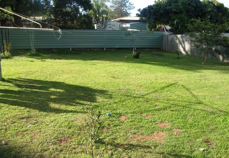 15 Brett Avenue, BROWNS PLAINS QLD 4118, Browns Plains - Thumbnail 8