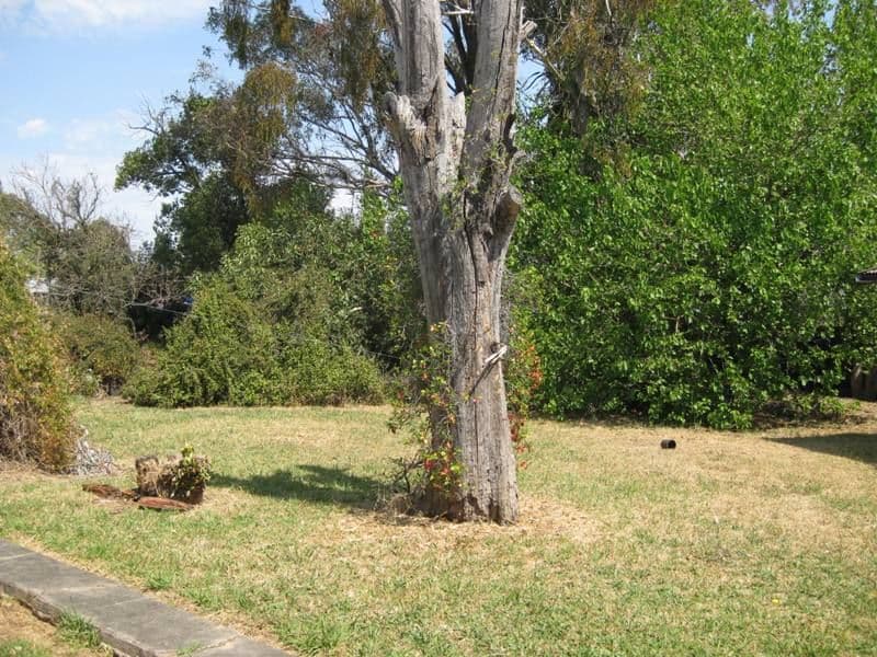 62 Pritchard Street, MOUNT PRITCHARD NSW 2170, Mount Pritchard - Thumbnail 5