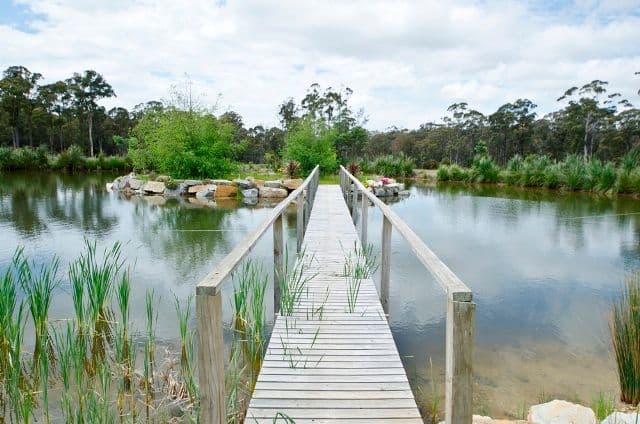 573 Greens Beach Road, YORK TOWN TAS 7270, York Town - Thumbnail 5