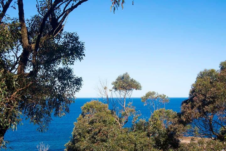 250 Lawrence Hargrave Drive, COALCLIFF NSW 2508, Coalcliff - Thumbnail 5