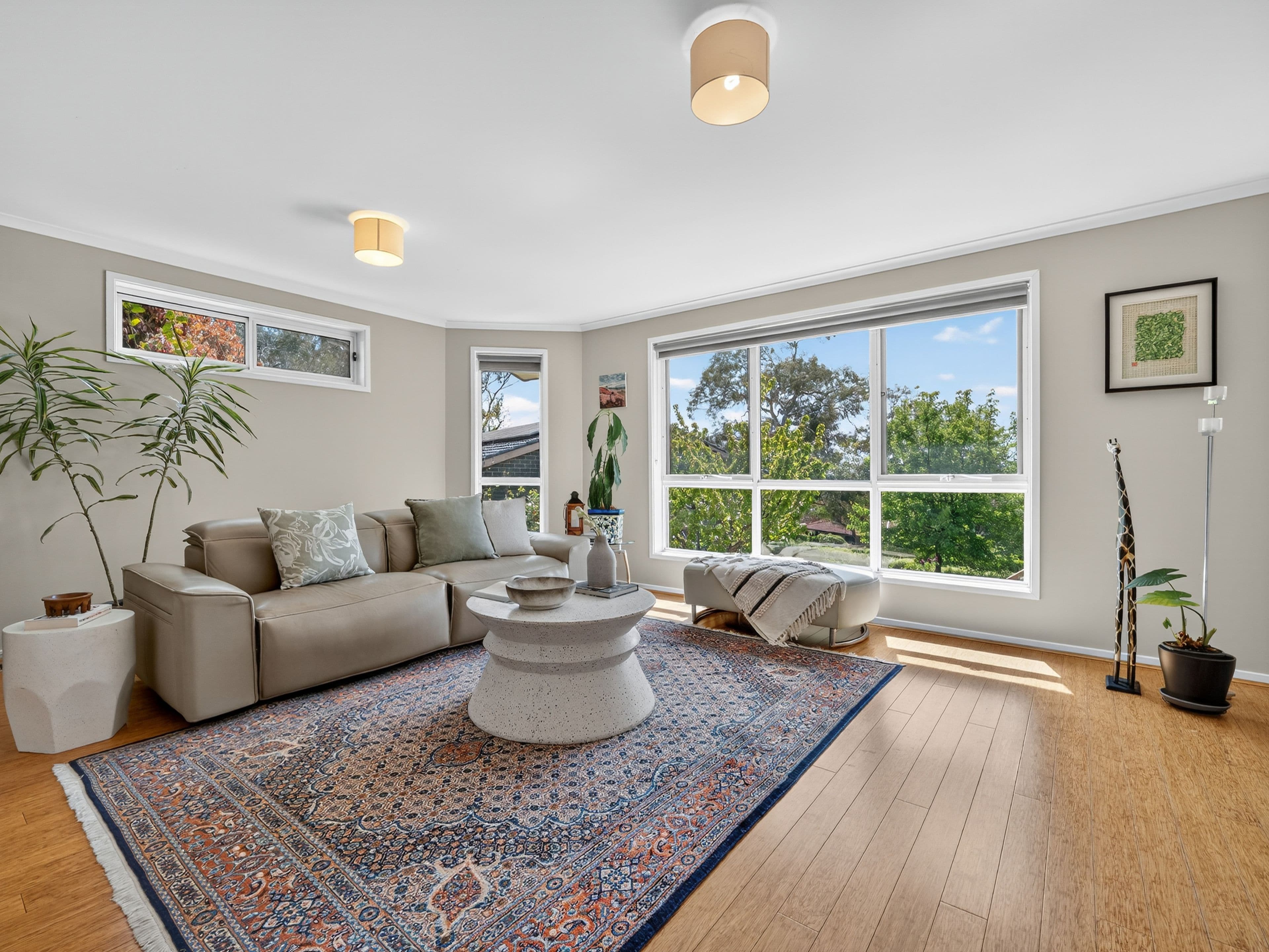 28 Erskine Street, Macquarie ACT 2614, Macquarie - Thumbnail 2
