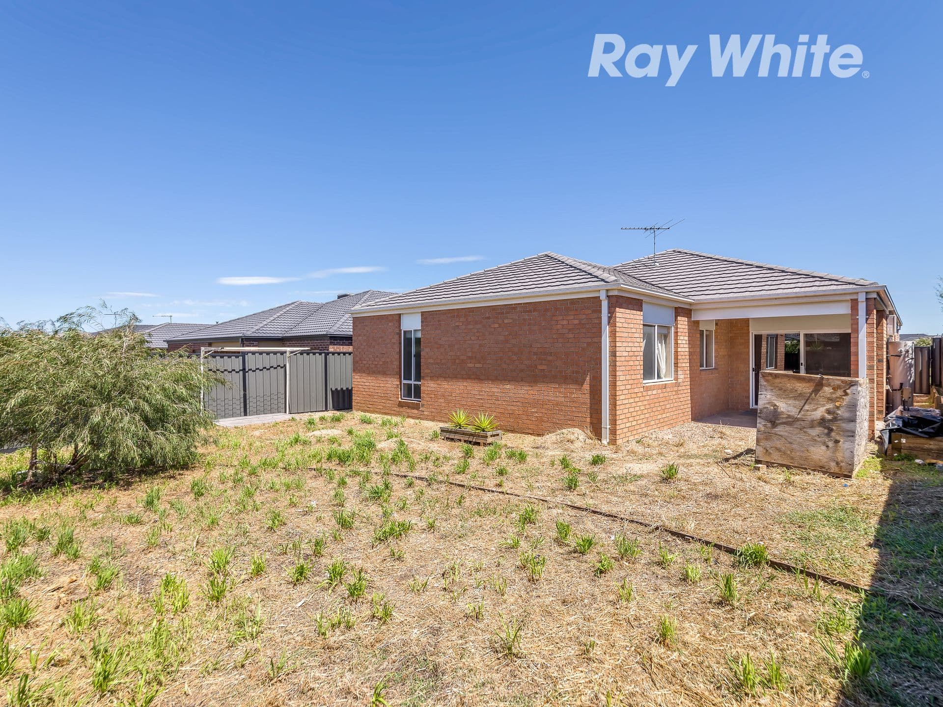 38 Chicory Street, Mernda VIC 3754, Mernda - Thumbnail 7