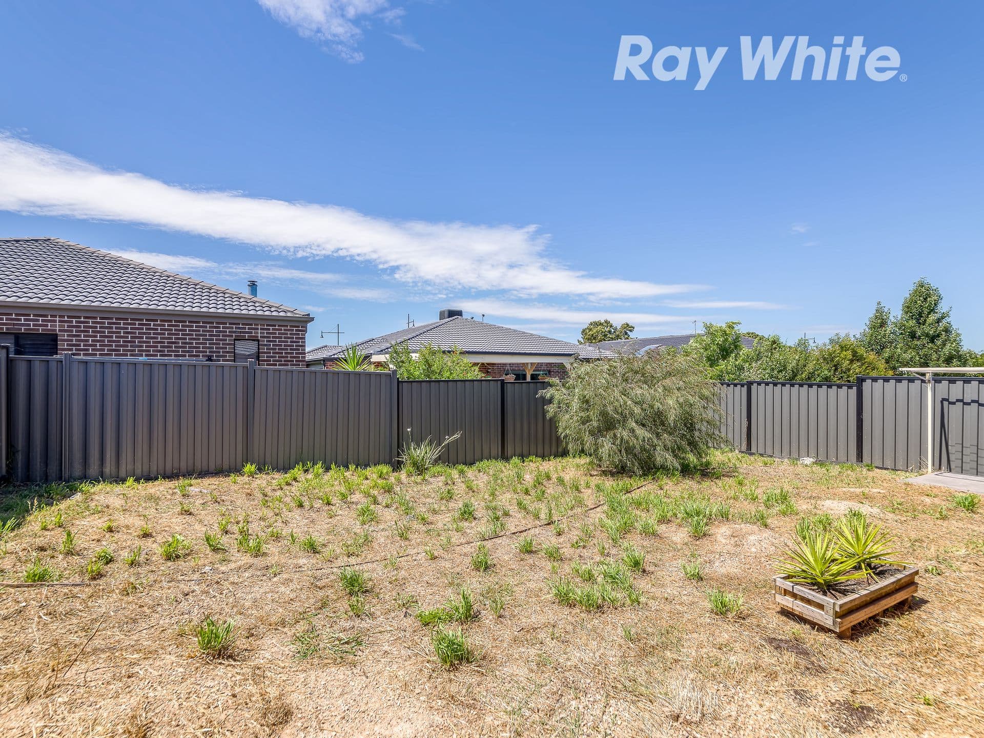 38 Chicory Street, Mernda VIC 3754, Mernda - Thumbnail 8