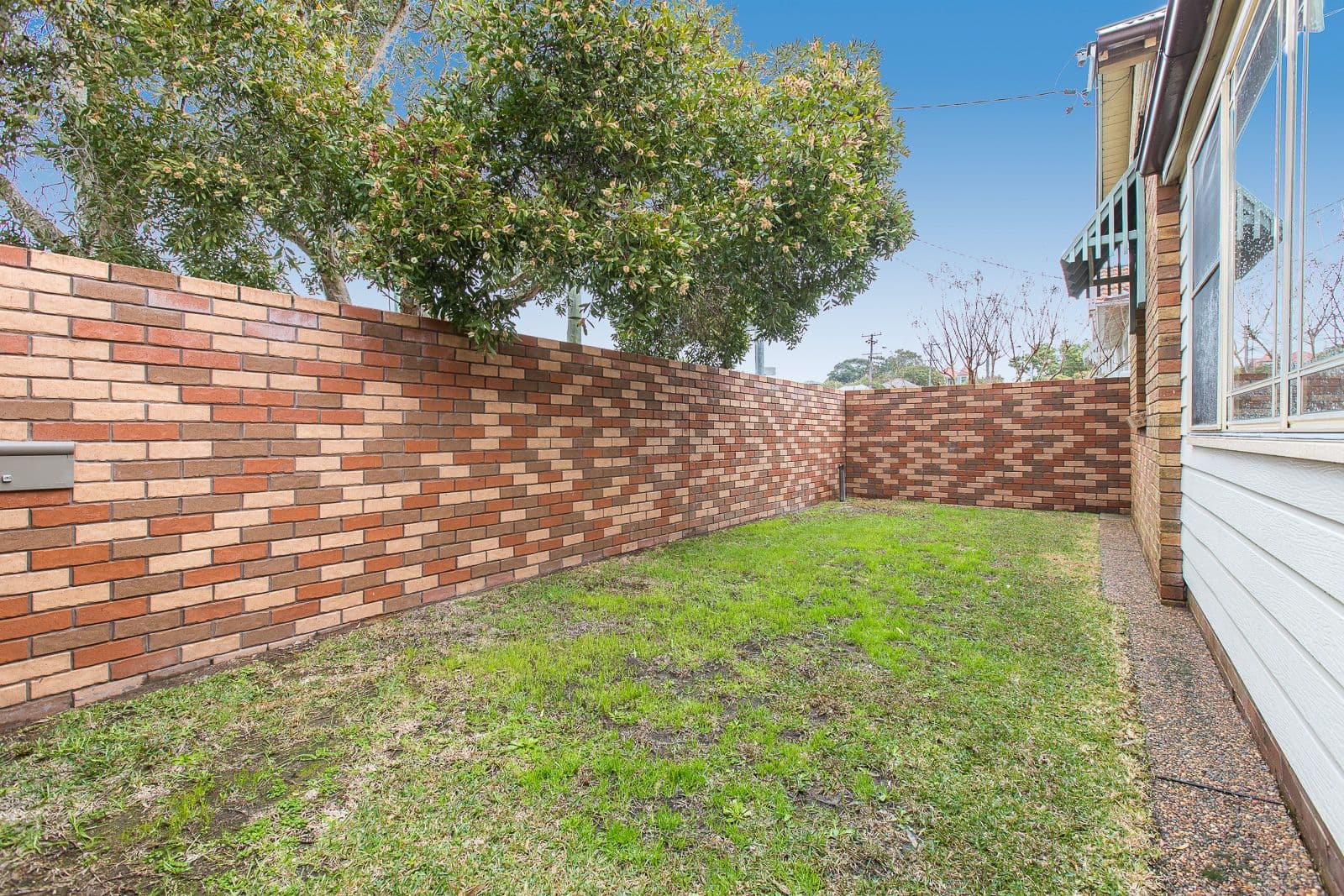 256 Glebe Road, Hamilton South - Thumbnail 4
