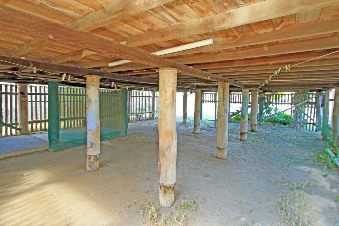 108 Main Street, PARK AVENUE QLD 4701, Park Avenue - Thumbnail 8