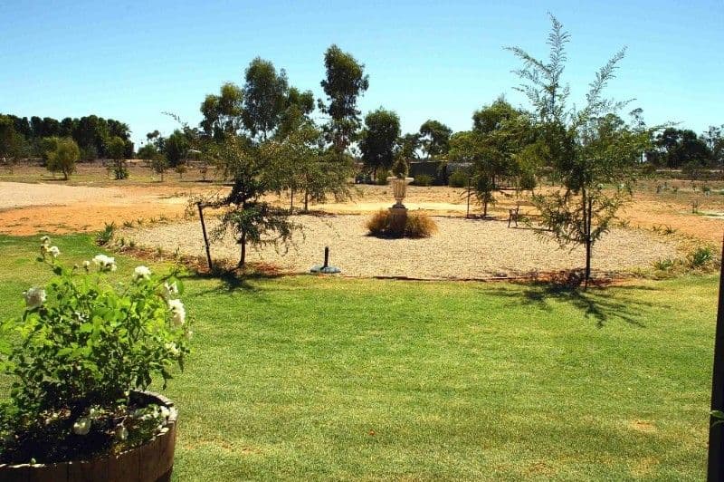 189 Chaffey Street, RENMARK SA 5341, Renmark - Thumbnail 6