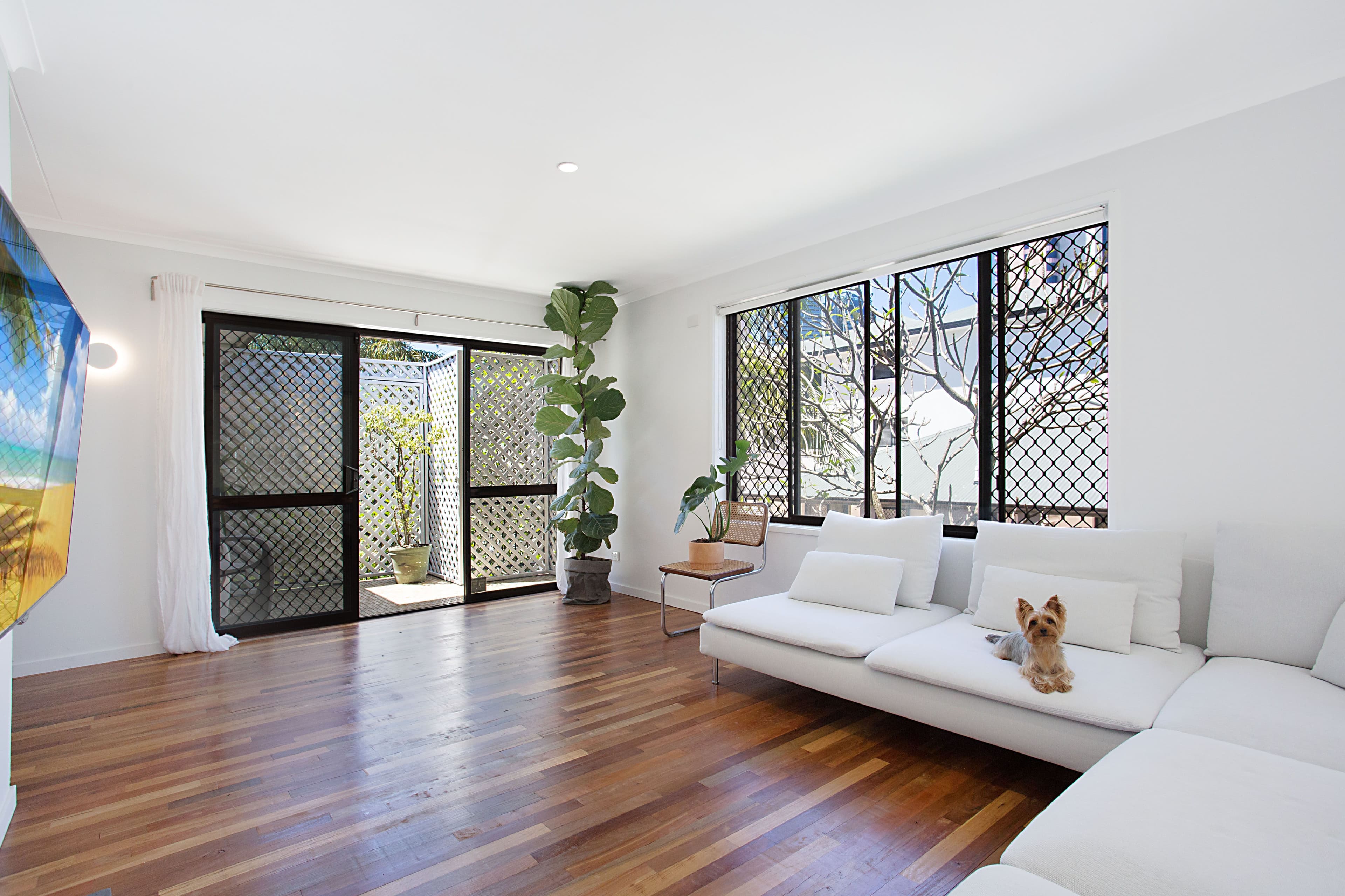 16 Monaco Street, Surfers Paradise QLD 4217, Surfers Paradise - Image 1