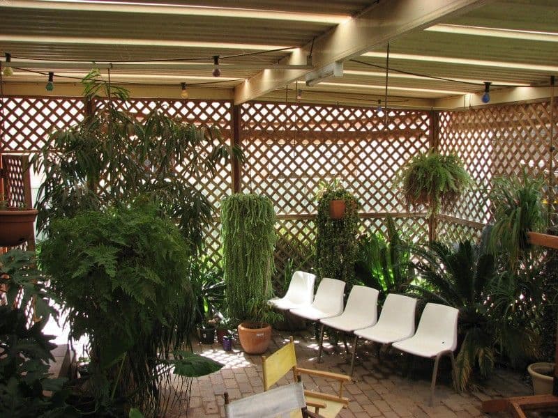9 Koala Place, FORBES NSW 2871, Forbes - Thumbnail 3