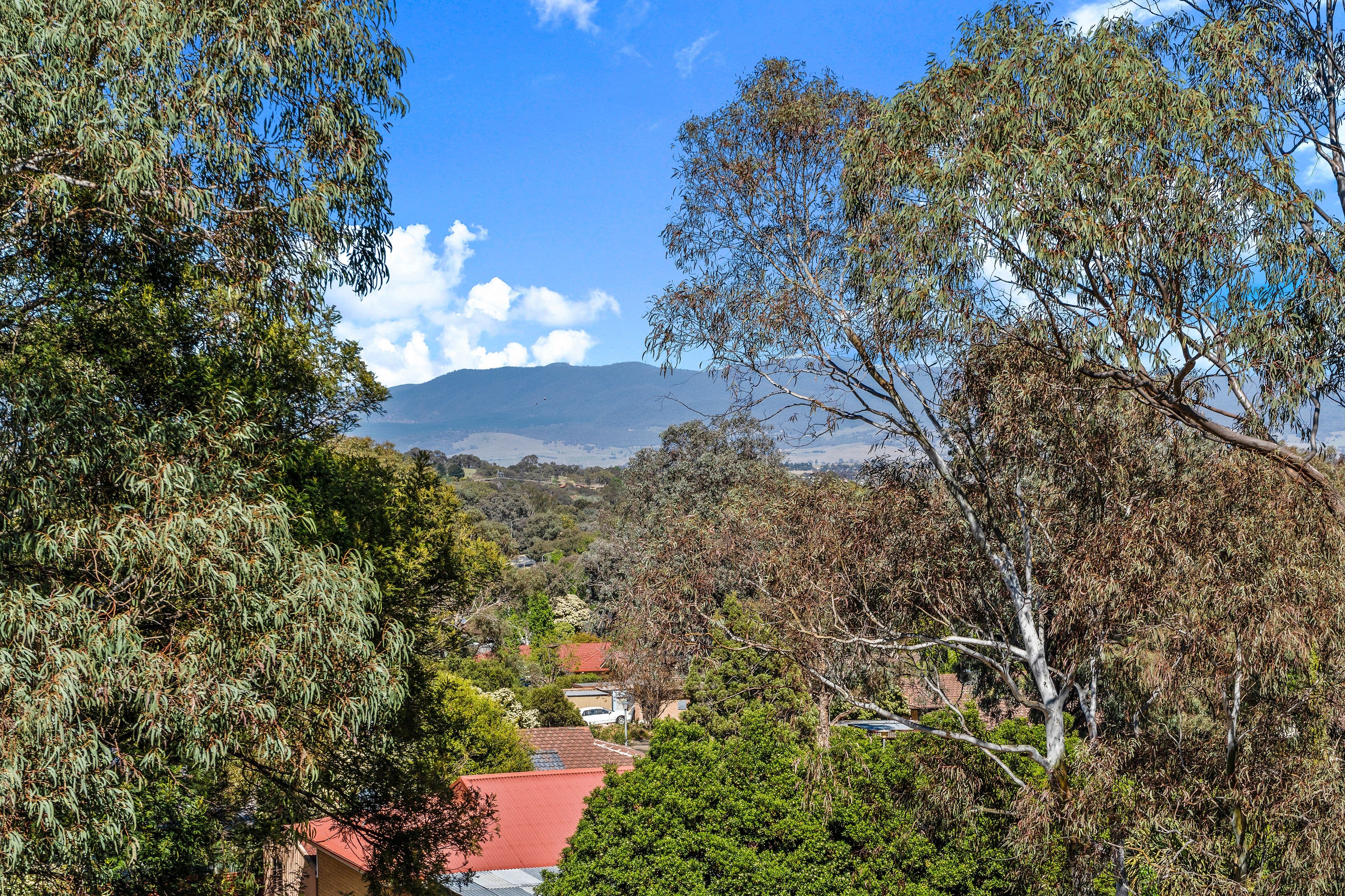 8 North Place, Charnwood ACT 2615, Charnwood - Thumbnail 2