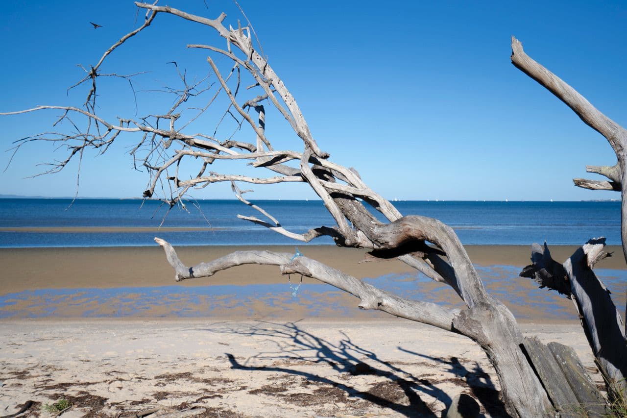 93 Bishop Road, Beachmere QLD 4510, Beachmere - Thumbnail 2