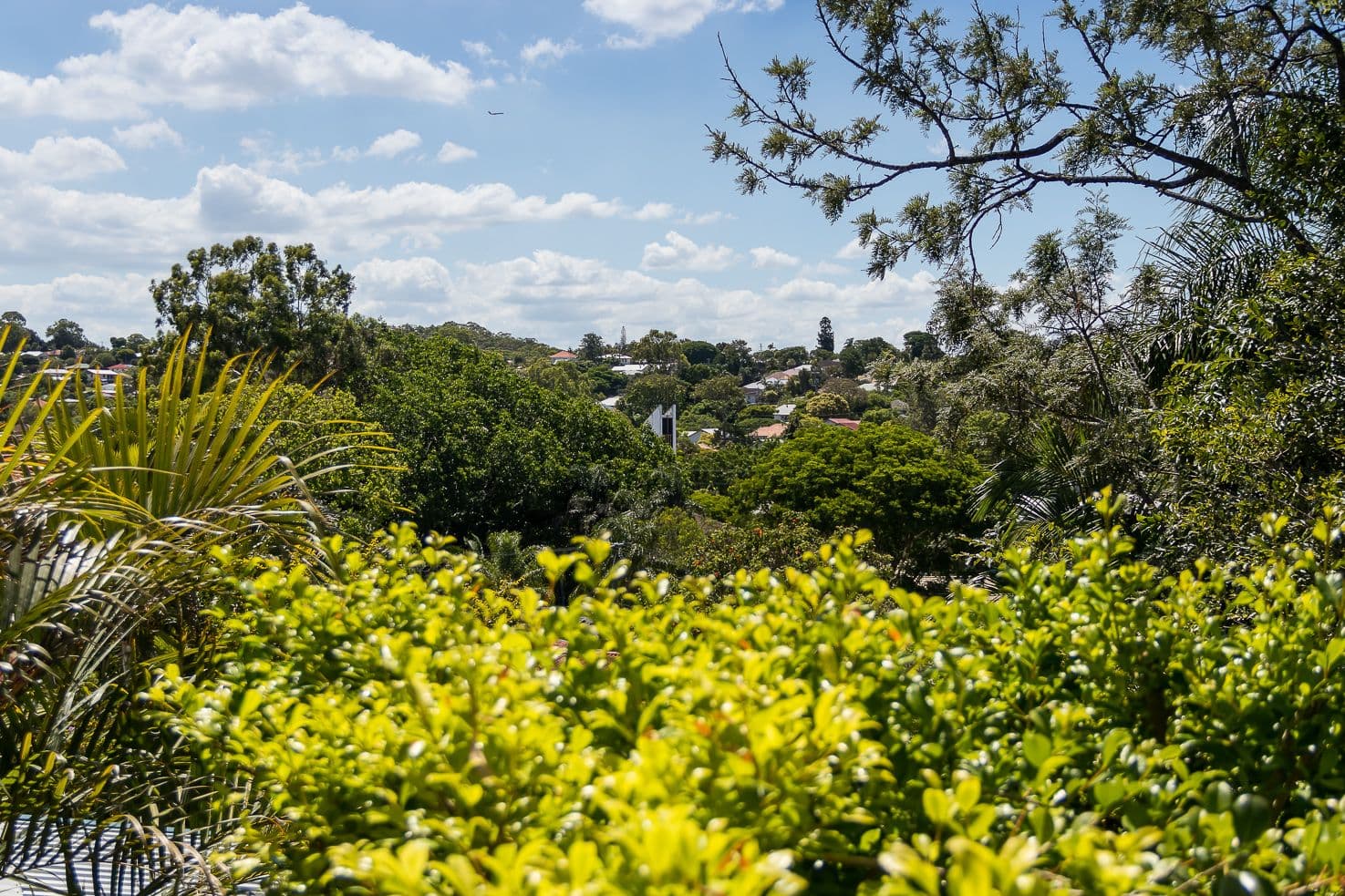 18 Allinga Street, Mount Gravatt East QLD 4122, Mount Gravatt East - Thumbnail 4