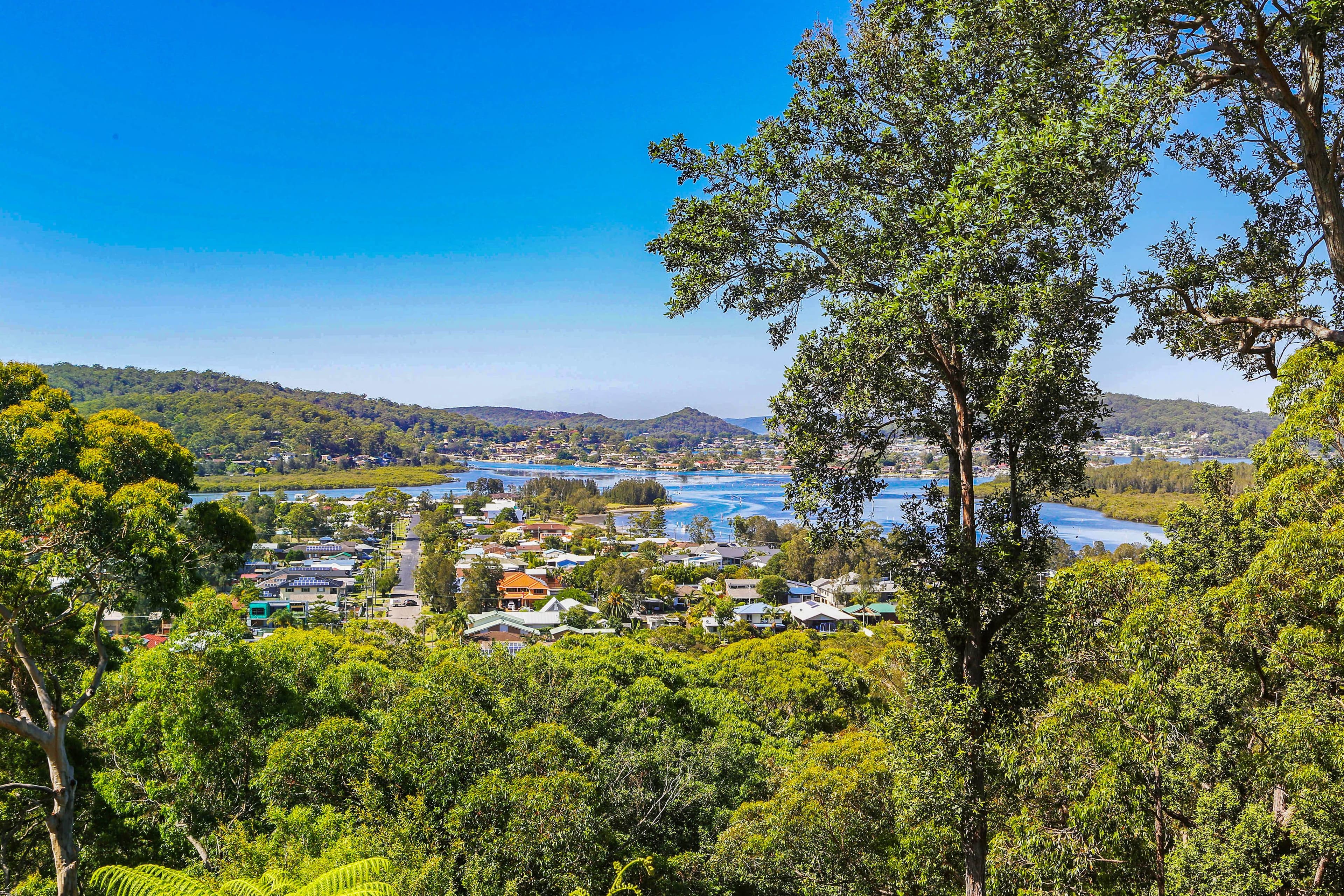 15 Shaw Street, Saratoga NSW 2251, Saratoga - Thumbnail 2