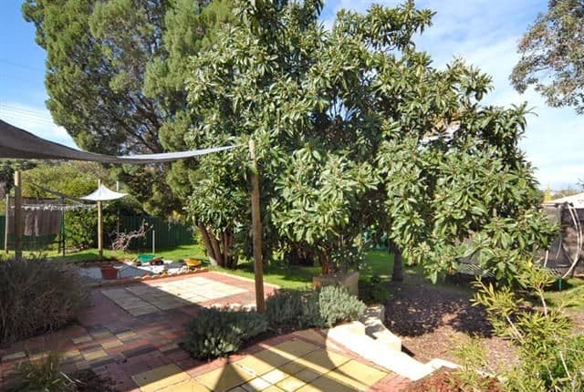 63 Temby Avenue, KALAMUNDA WA 6076, Kalamunda - Thumbnail 4