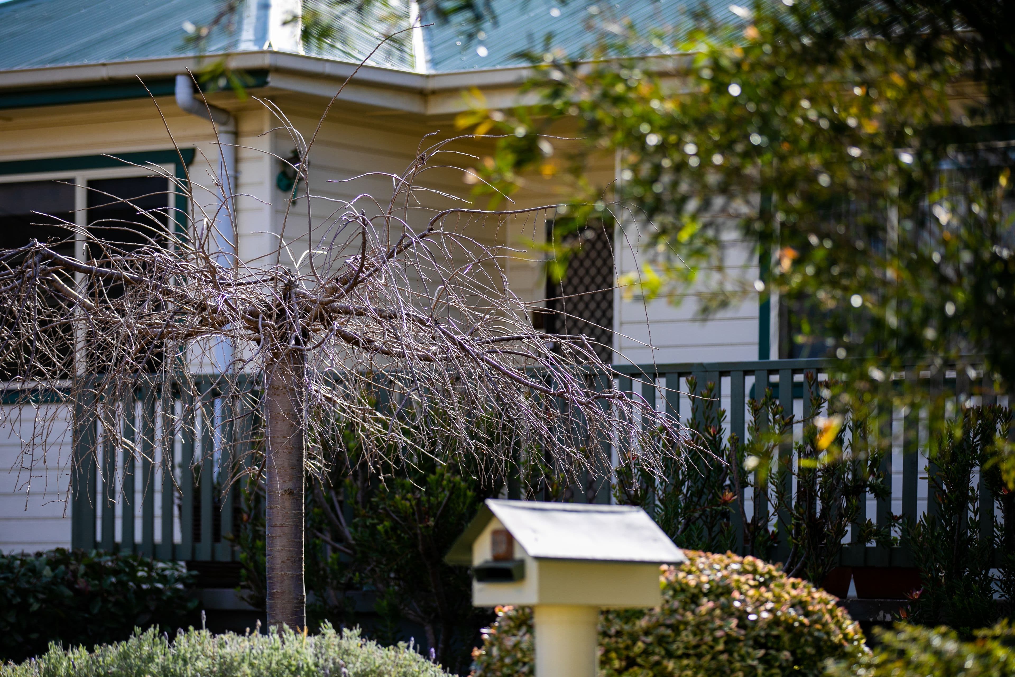 10 Park Street, Mittagong NSW 2575, Mittagong - Thumbnail 4
