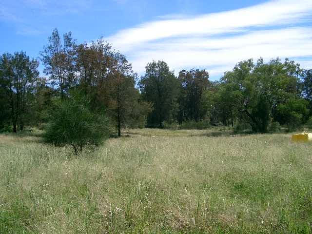 GOONDIWINDI QLD 4390, Goondiwindi - Image 1