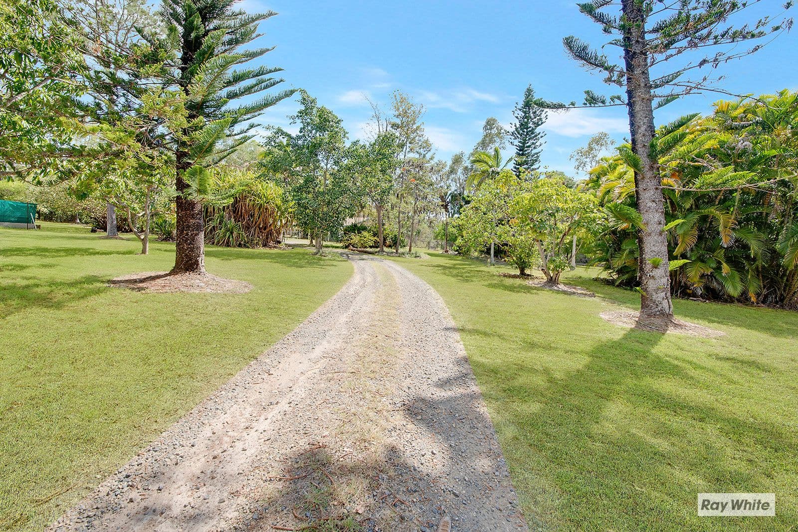 393 Tanby Road, Taroomball QLD 4703, Taroomball - Image 1