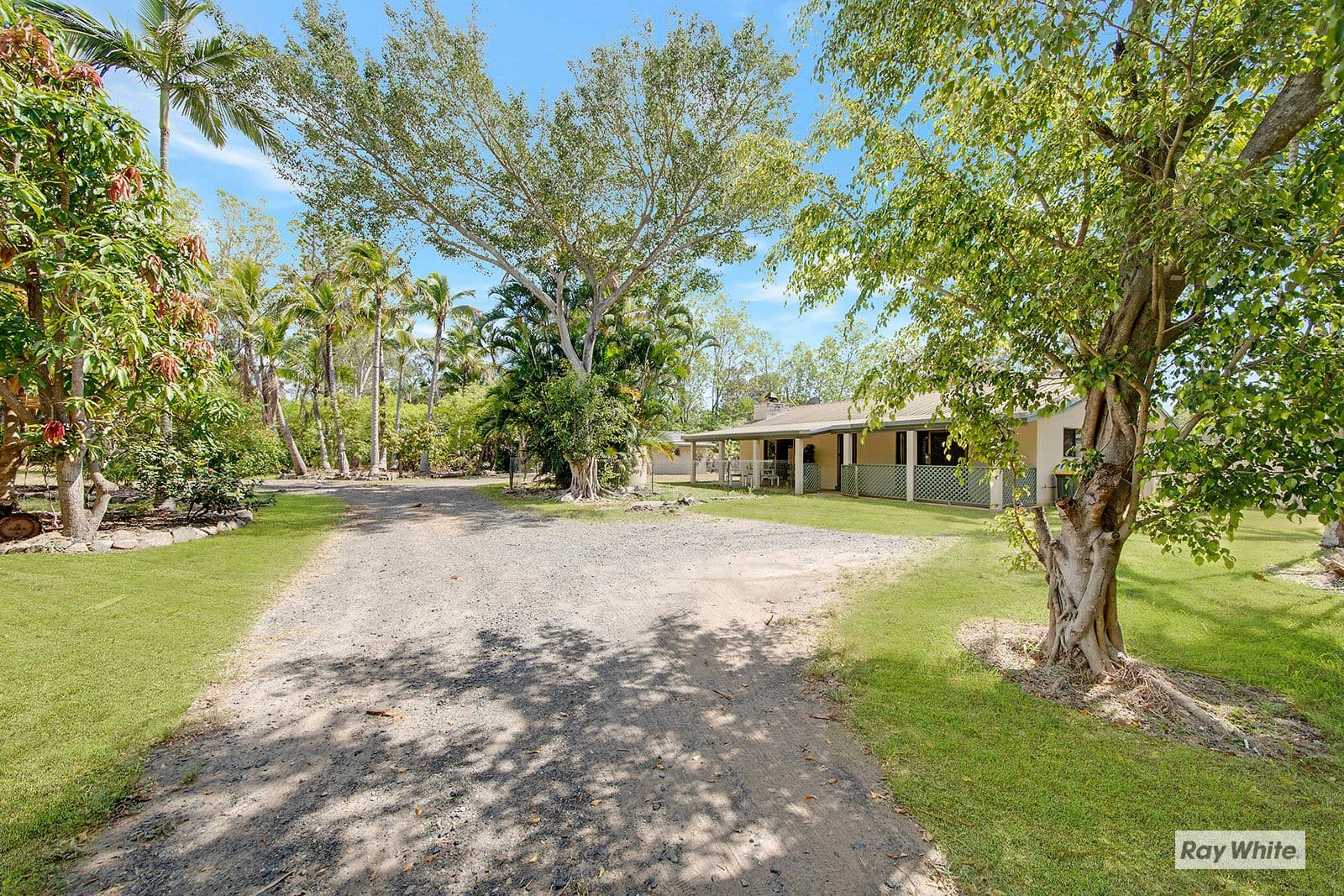 393 Tanby Road, Taroomball QLD 4703, Taroomball - Thumbnail 2