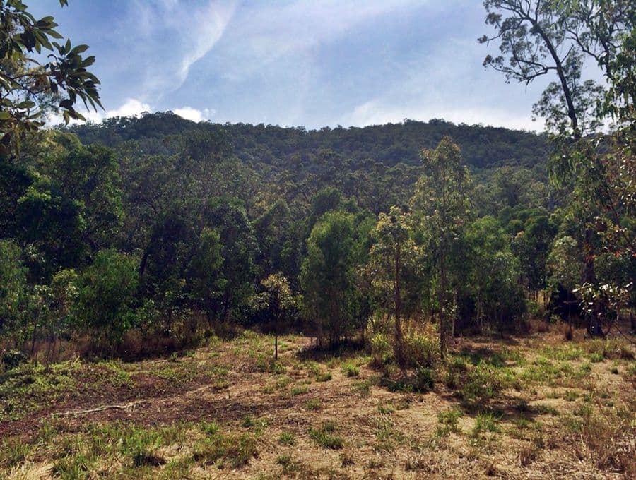 Lot 71 Pine Creek-Yarrabah Road, Second Beach, EAST TRINITY QLD 4871, East Trinity - Thumbnail 5