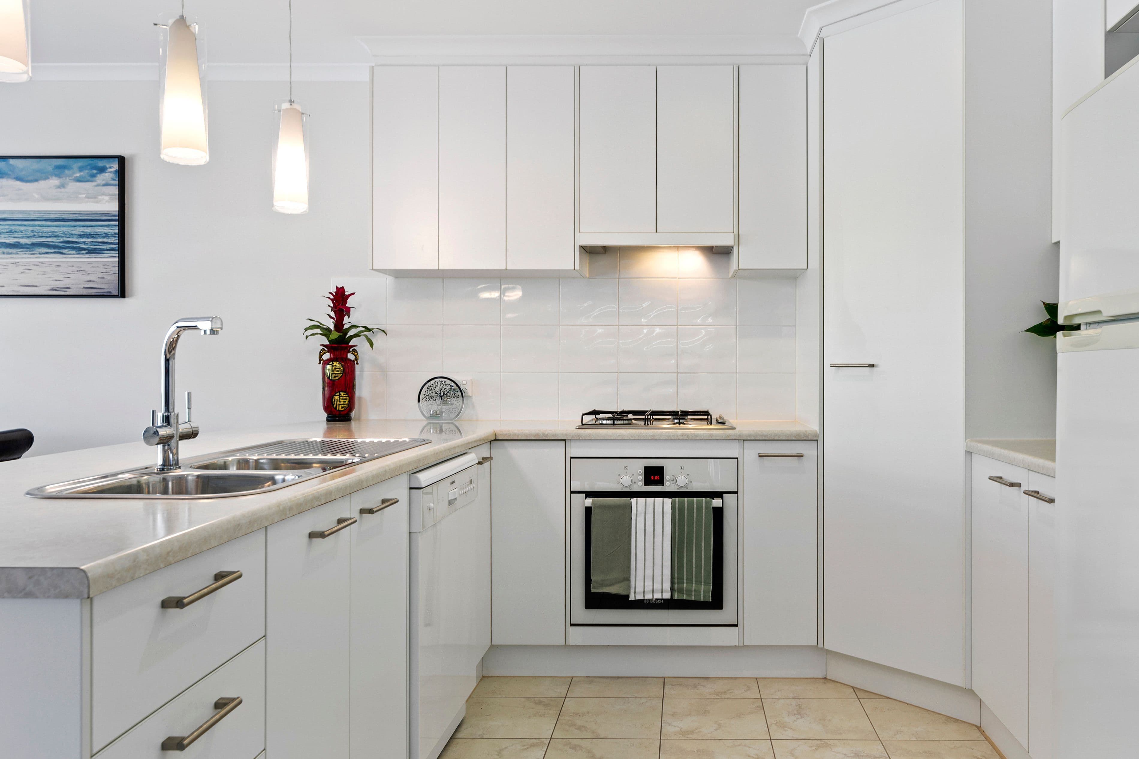13 Shropshire Avenue, Hillcrest SA 5086, Hillcrest - Thumbnail 5
