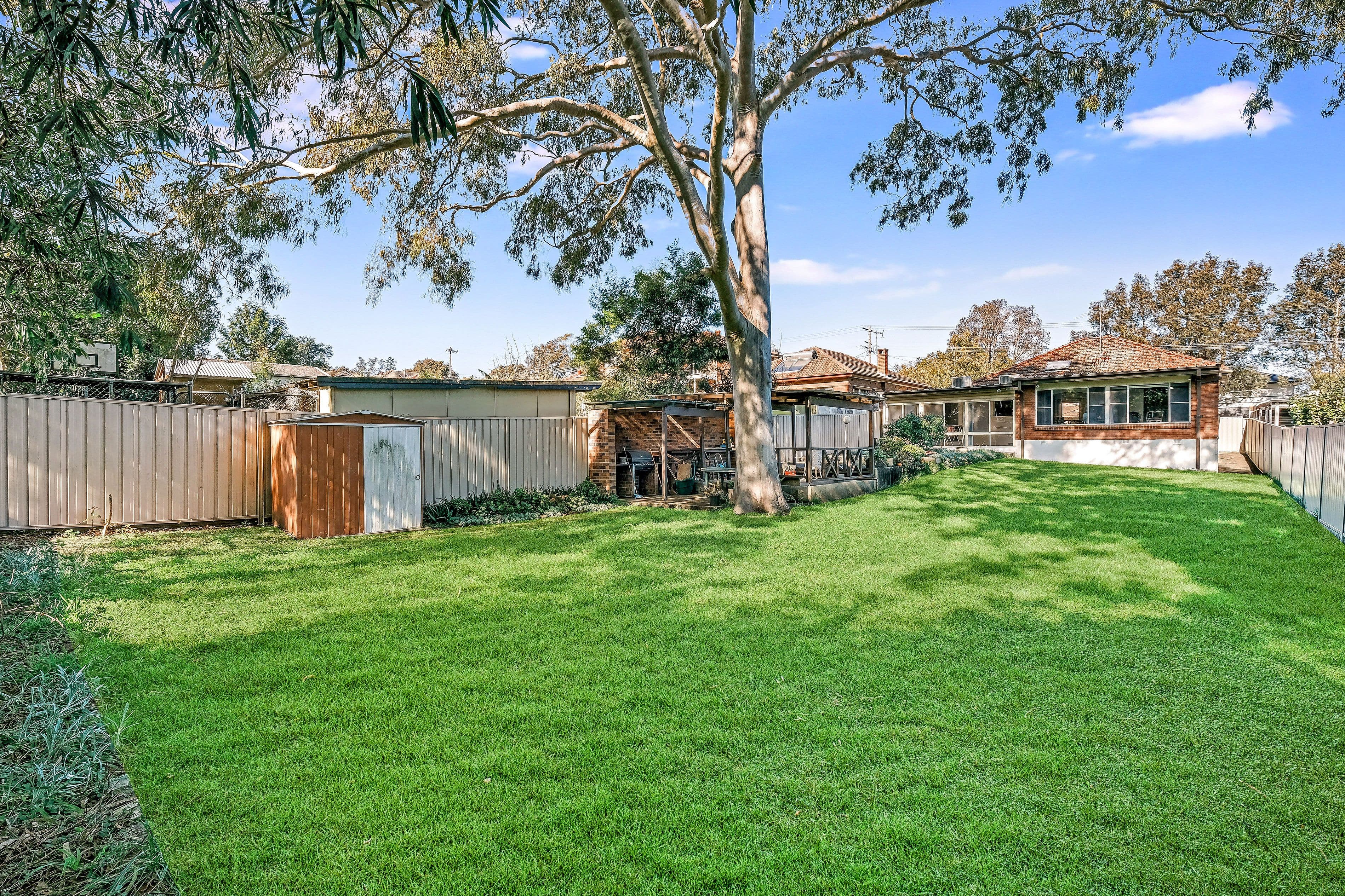 50 Eldon Street, Riverwood NSW 2210, Riverwood - Thumbnail 7