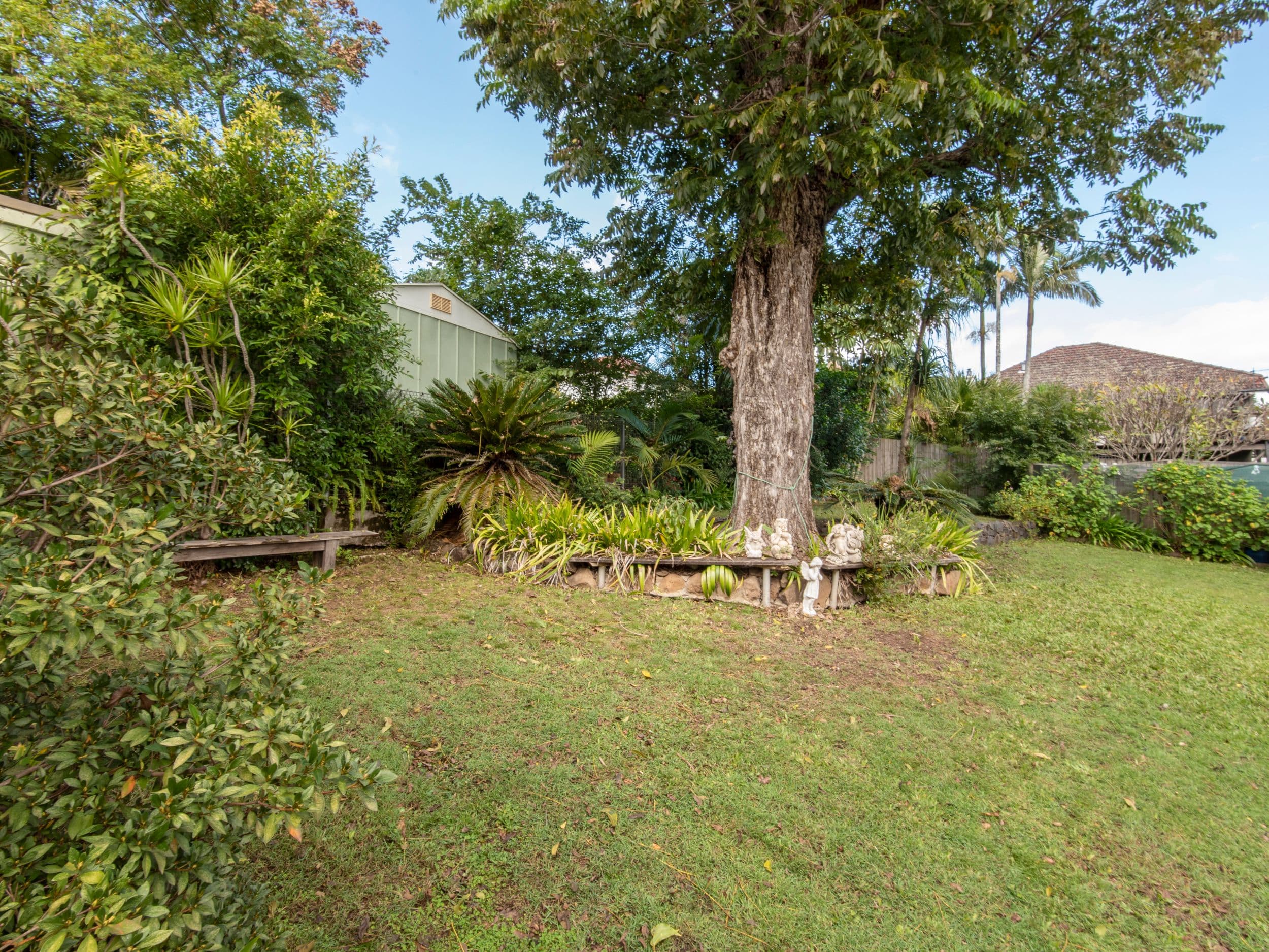 87 Bright Street, East Lismore NSW 2480, East Lismore - Thumbnail 7