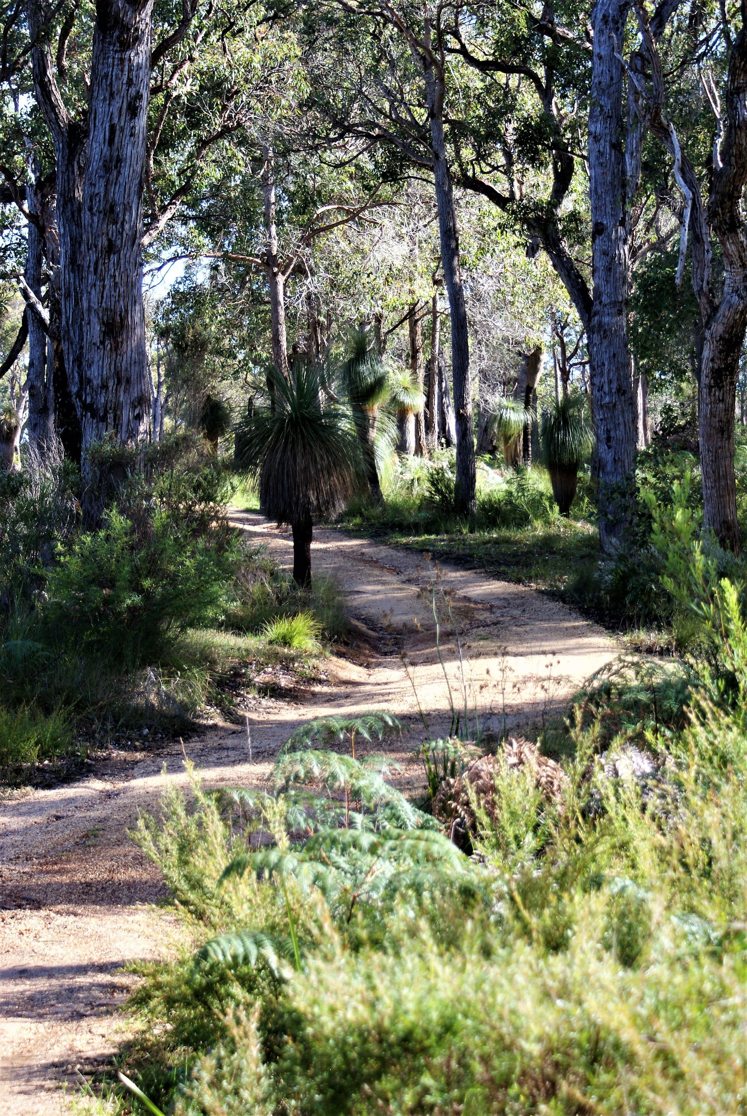 209 McLeod Road, Denmark WA 6333, Denmark - Thumbnail 7