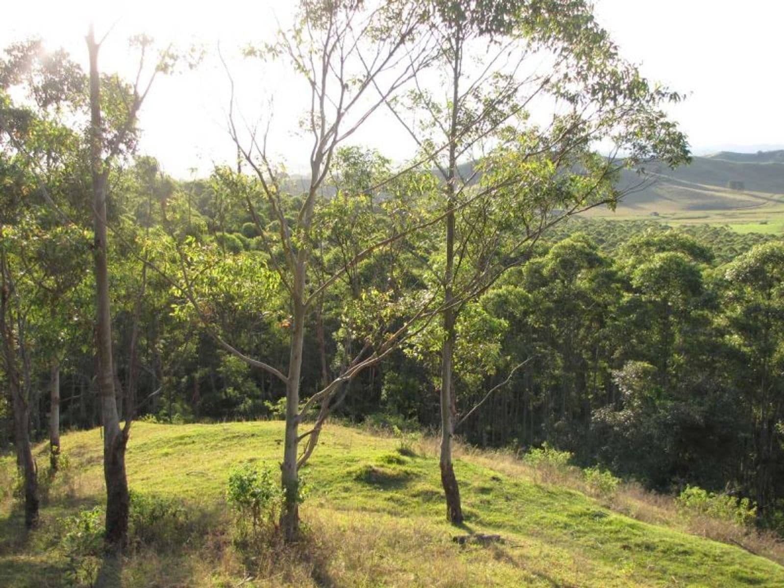 Reynolds Lane, Backmede - Thumbnail 4