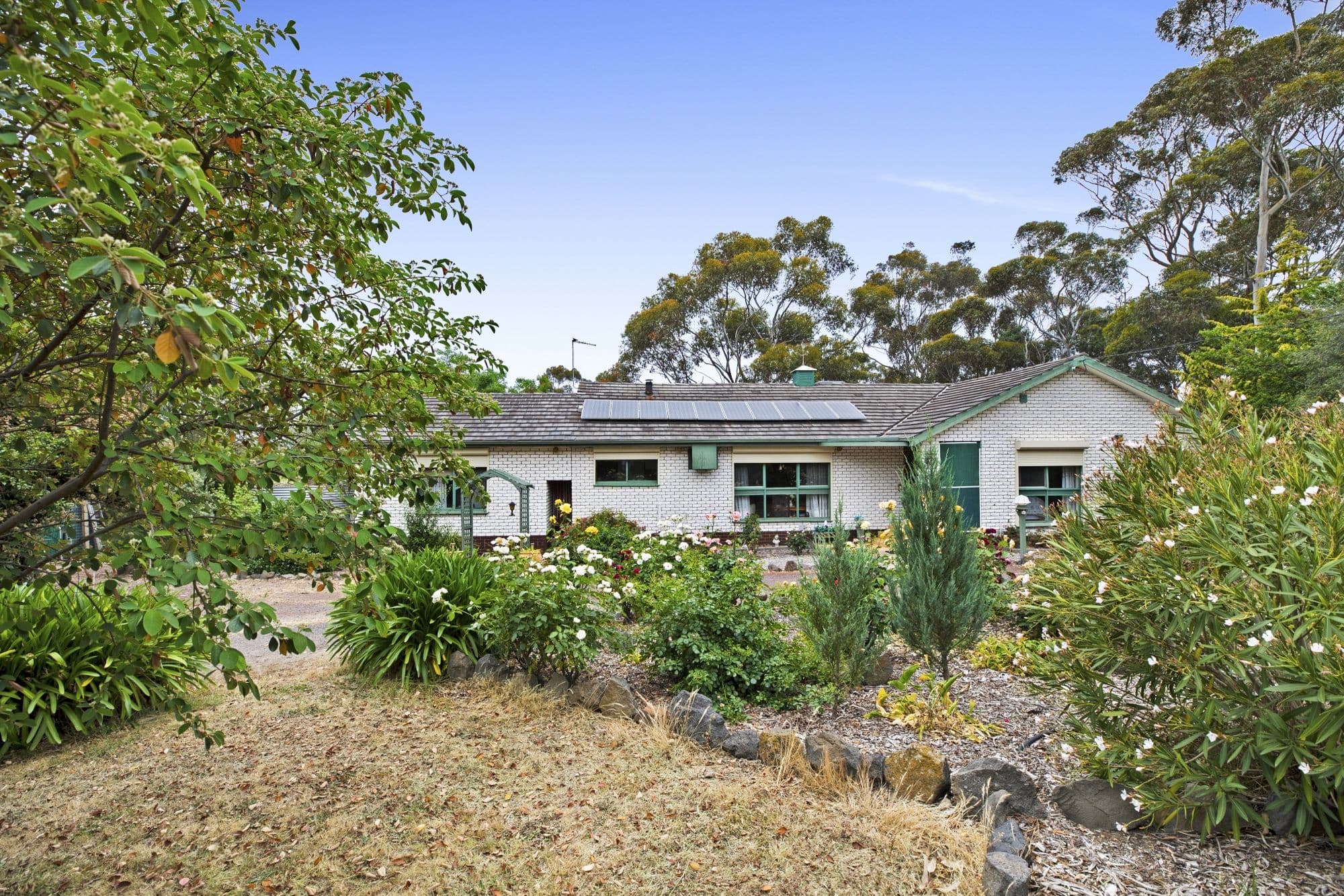 40 Shearwater Terrace, Springfield Lakes QLD 4300, Springfield Lakes - Thumbnail 2