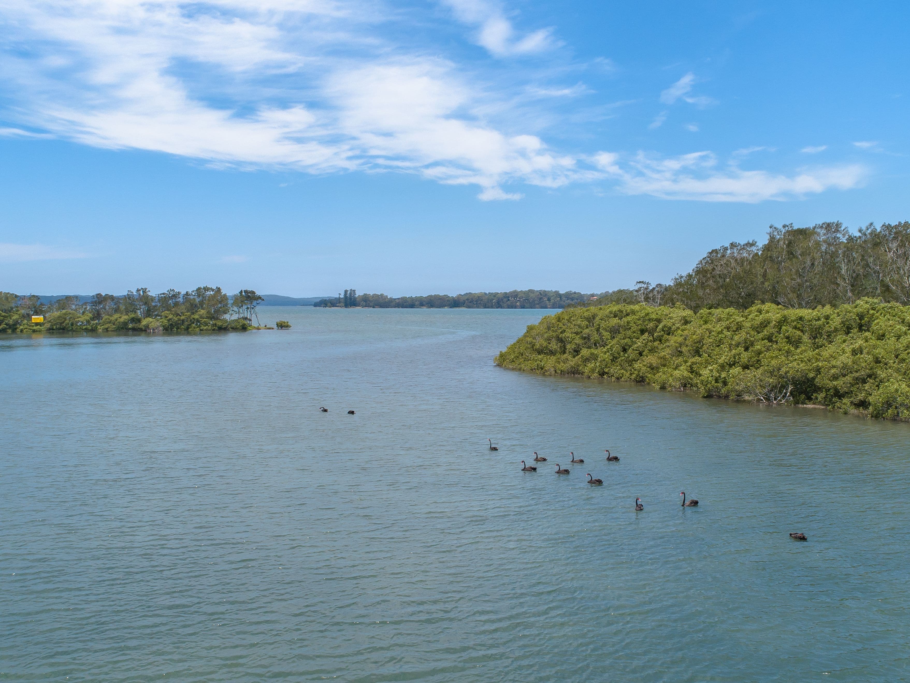 98 Dora Street, Dora Creek NSW 2264, Dora Creek - Thumbnail 7