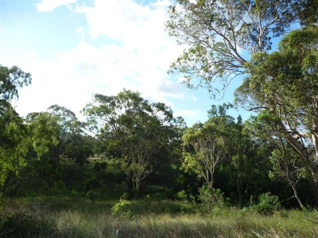 Lot 8 Heritage Court, GLENVALE QLD 4350, Glenvale - Thumbnail 3