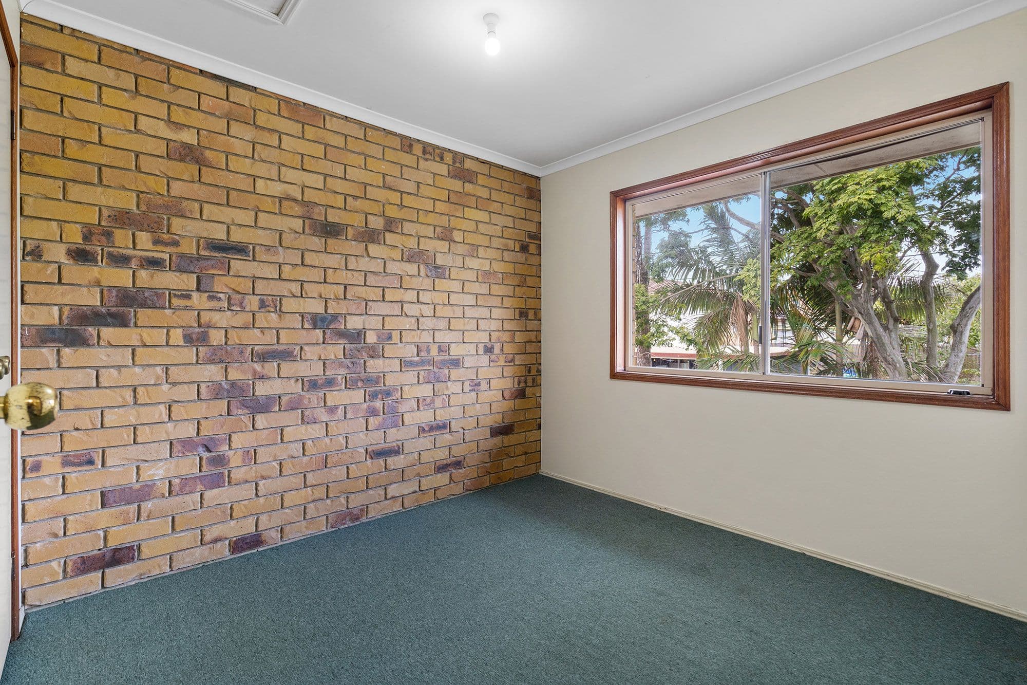 38 Pintu Drive, Tanah Merah QLD 4128, Tanah Merah - Thumbnail 8